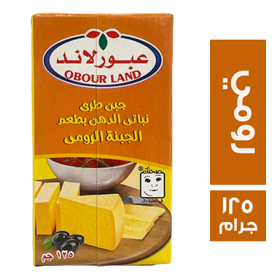 عبور لاند 1/8 خلطة رومى *40